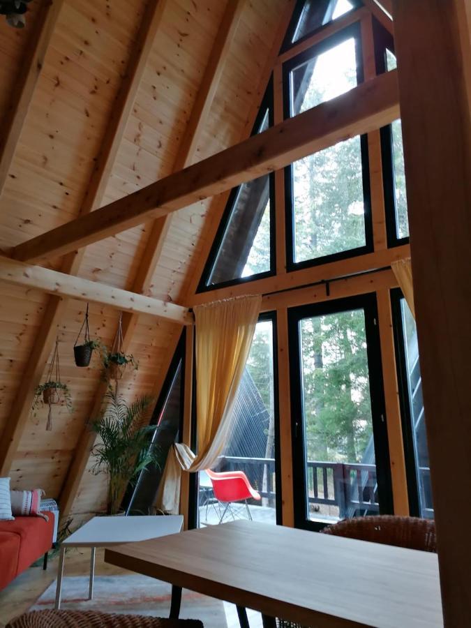 Vila Zlatair Chalets Nova Varoš Exteriér fotografie