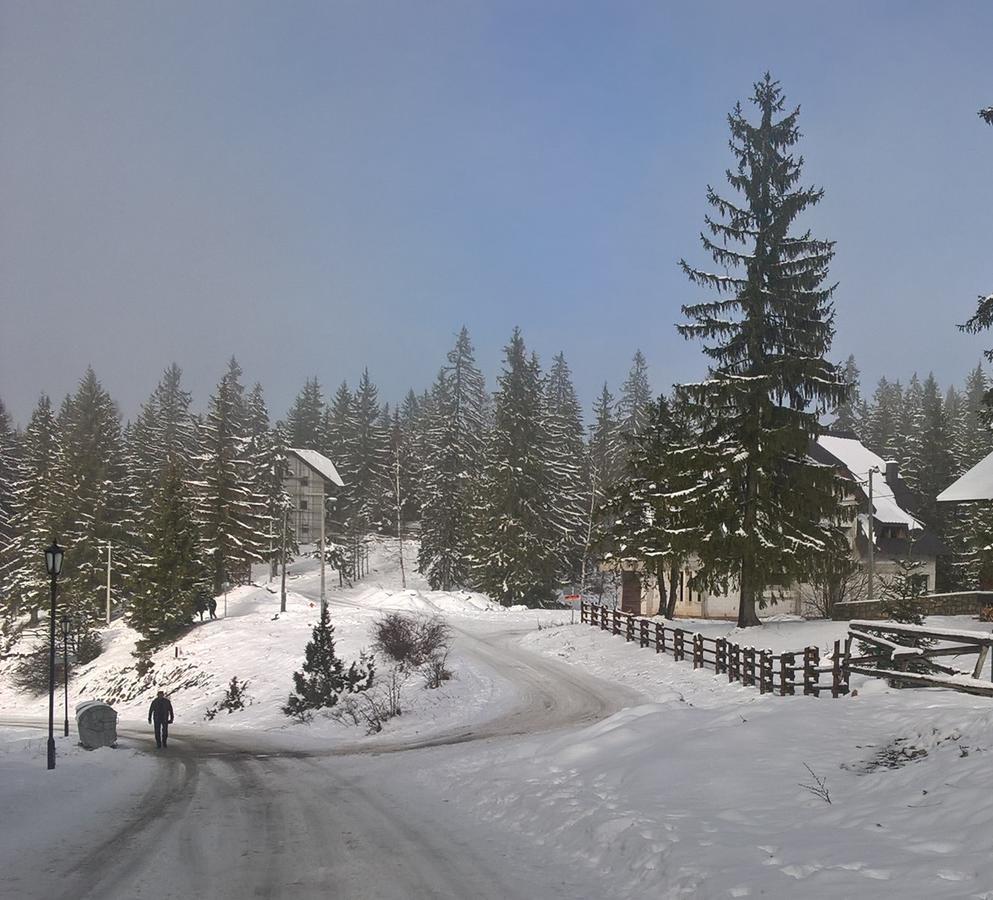 Vila Zlatair Chalets Nova Varoš Exteriér fotografie