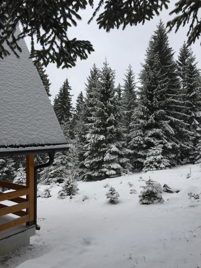 Vila Zlatair Chalets Nova Varoš Exteriér fotografie