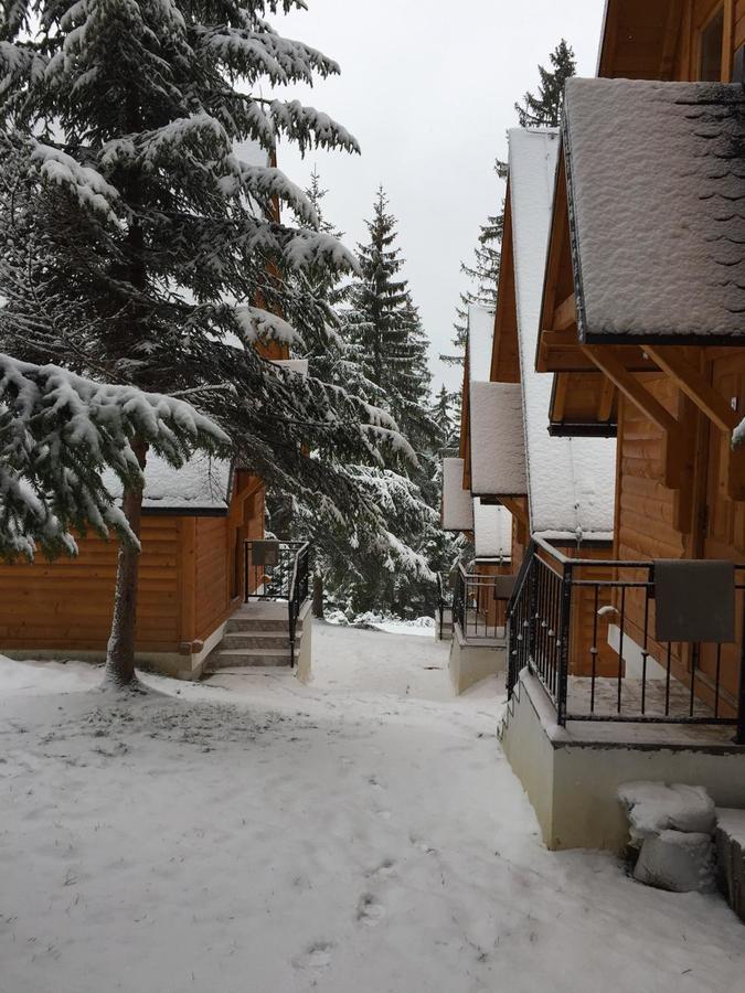 Vila Zlatair Chalets Nova Varoš Exteriér fotografie