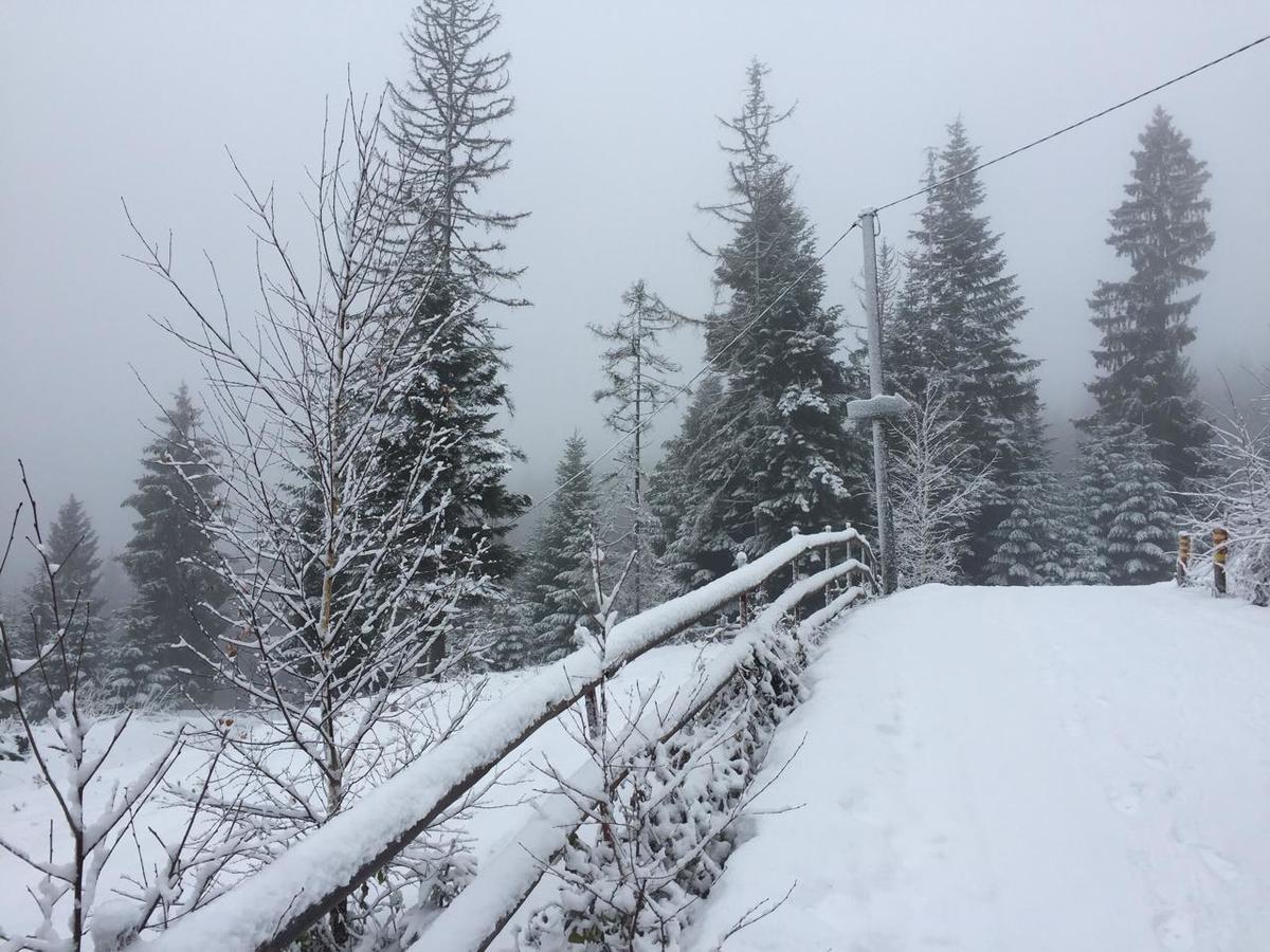 Vila Zlatair Chalets Nova Varoš Exteriér fotografie